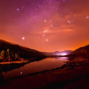 性瘾+高H+浓肉+黄H视频
